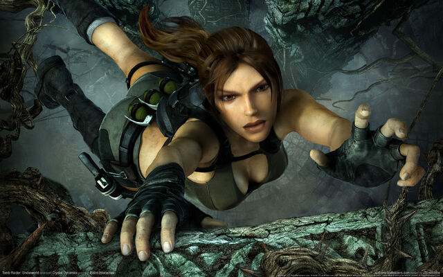 Datei:Tomb Raider.jpg