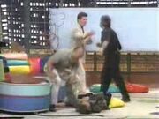 The Knockout