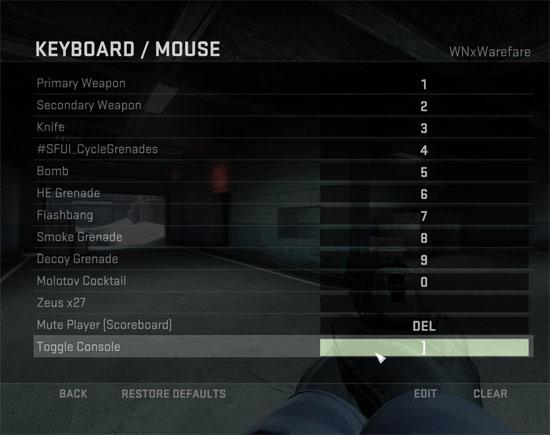 Assign-key-for-console-in-cs-go