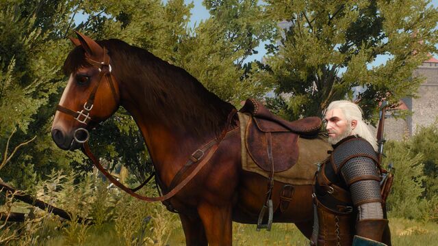 File:The-witcher-3-wild-hunt-nvidia-hairworks-horse.jpg