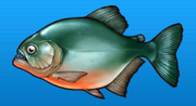 Piranha