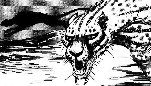 File:MutantCat.jpg