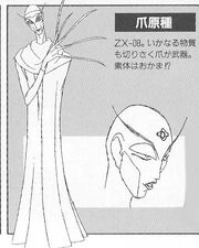 Nail