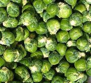 Brussels sprout