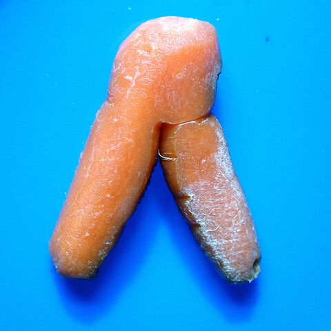 File:Carrot Forking Fanging.jpg
