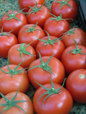 File:Tomatoes Red Cherry.jpg