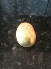 Potato Greening