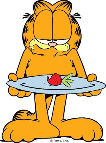 File:Garfield diet.jpg