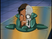 Coyote6.png