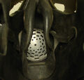 Thumbnail for version as of 05:49, November 25, 2012