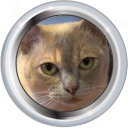 Archivo:Badge-picture-3.png