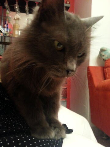 Archivo:20130503 214322.jpg