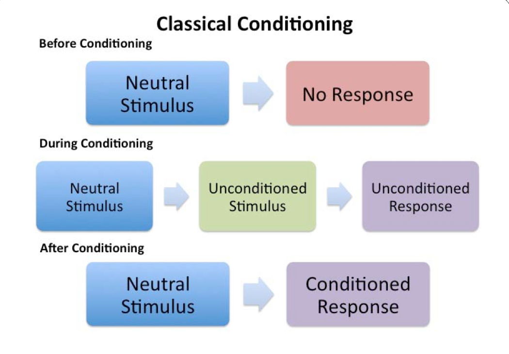 psychology conditioning assignment