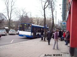 5065.jpg
