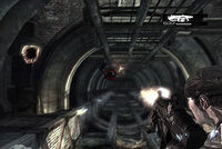 CoalitionCargo2