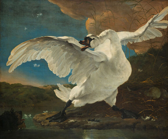 File:The-threatened-swan-jan-asselijin-1650.jpg