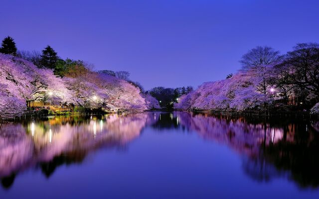 File:Osaka-(Japan).jpg