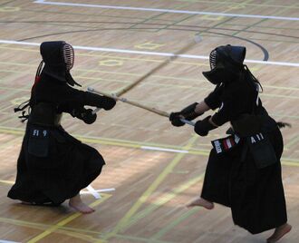 Kendo EM 2005 - kote
