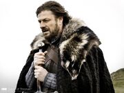 Eddard-HBO.jpg