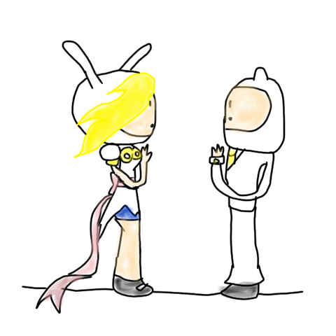 File:Finn & Fionna.png