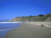 Beach-Elk