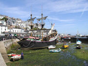 Brixham hind 750pix