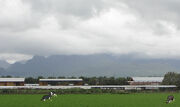 Delicias Dairy