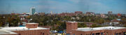 DownTownAA1 copy