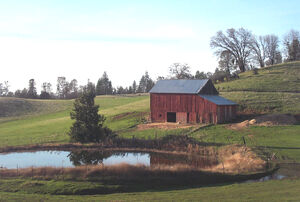 L StarksGradeBarn