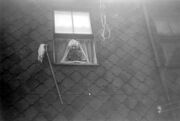 Grandma Rice (1966)