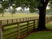AppomattoxFields.wmg