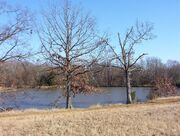 Shelby farms park scenic