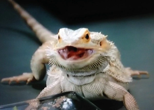 latest?cb=20160416044525