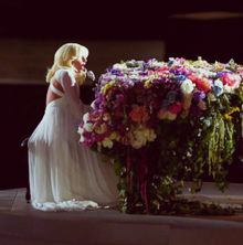 Lady-gaga.png