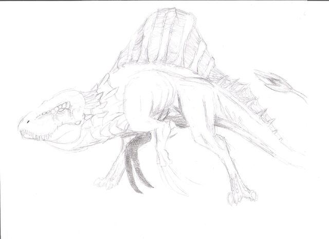 File:Pachysail.jpg