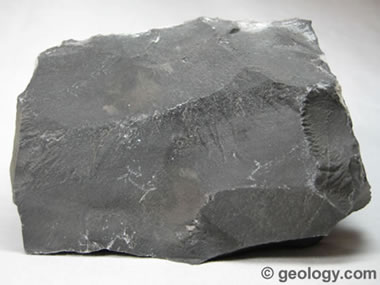Limestone | Geology Wiki | FANDOM powered by Wikia