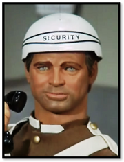 Securty Guard