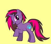 Neonpaw makeover
