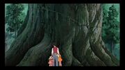 Baum.jpg