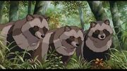 Tanuki