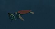 Red-turtle-teaser-3