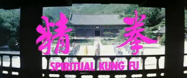 File:KarateGhostbustersc02wide.png