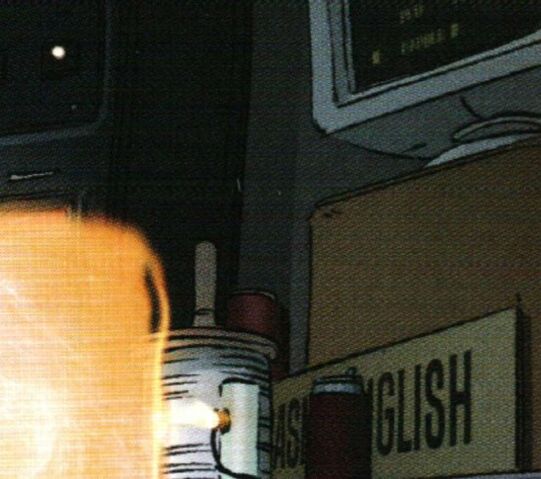 File:TobinsSpiritGuideIDWV2Issue5.jpg