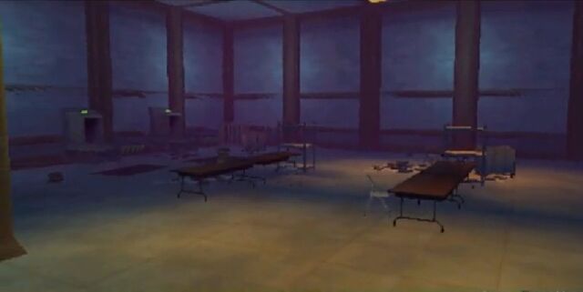 File:CallOfTheGrayLadySVCinematic02.jpg