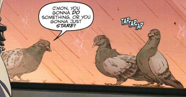 File:TalkingPigeons01.jpg
