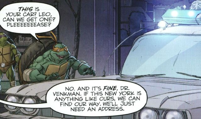File:Ecto1IDWTMNTGB01.jpg