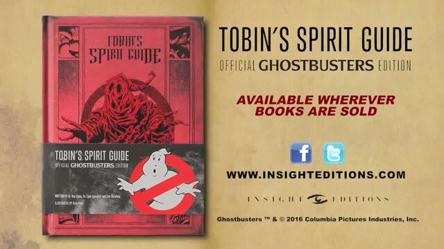File:TobinsSpiritGuideInsightTrailer12.jpg