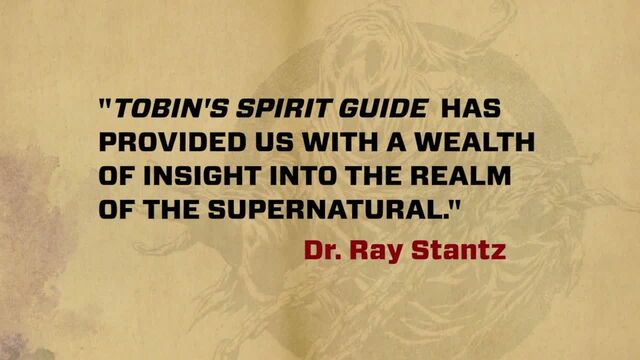 File:TobinsSpiritGuideInsightTrailer05.jpg