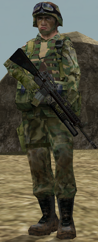 File:US Army.png