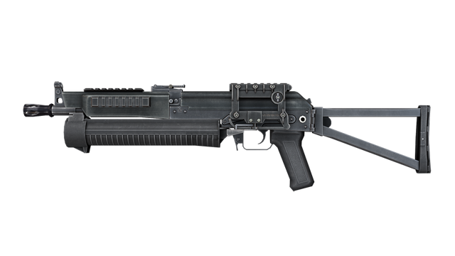 File:PP19tcm2246556.png